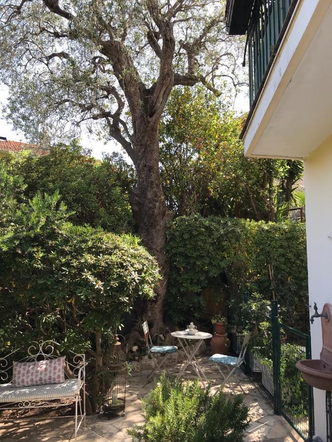 "L'Olivadou" St Jean Cap Ferrat Apartment Saint-Jean-Cap-Ferrat Bagian luar foto