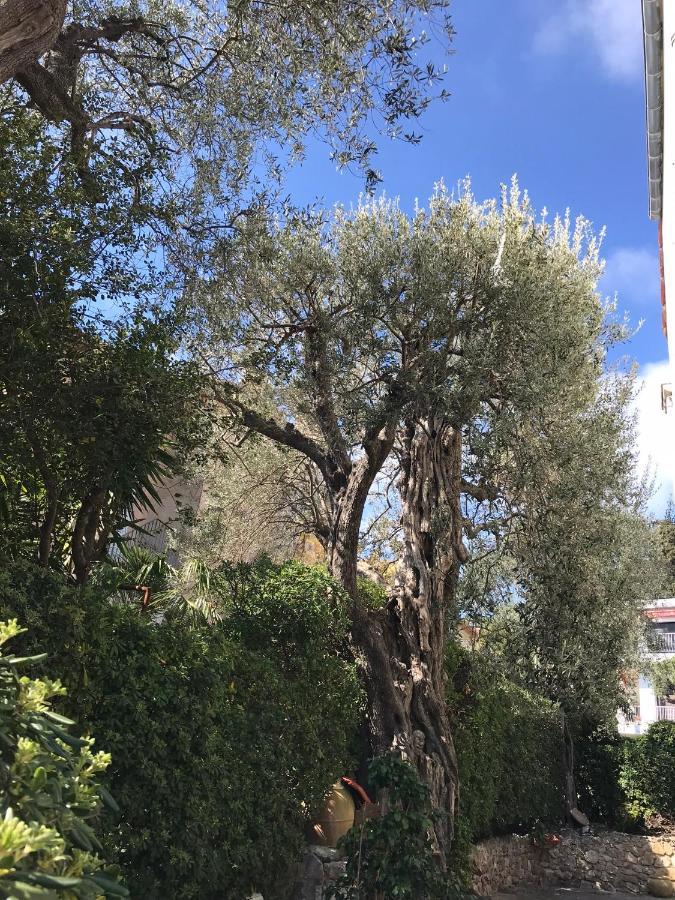 "L'Olivadou" St Jean Cap Ferrat Apartment Saint-Jean-Cap-Ferrat Bagian luar foto